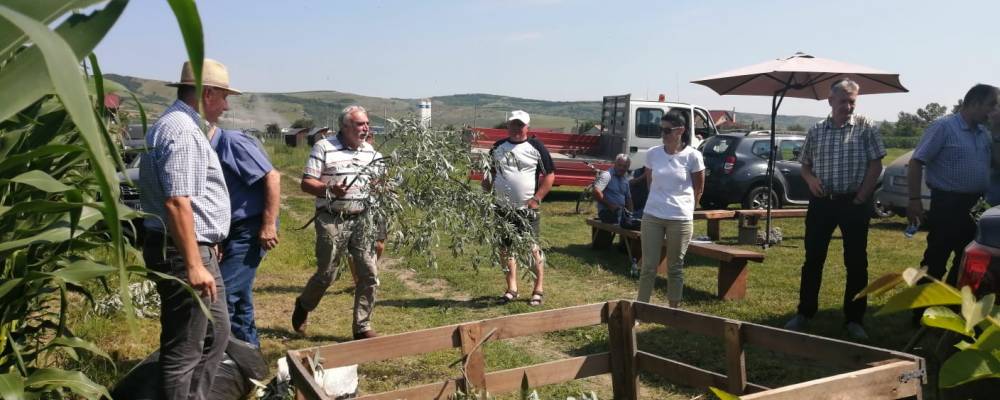 Programul pilot de compostare a fost lansat la Gănești
